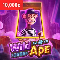 Điều khoản Dịch vụ m88bet win